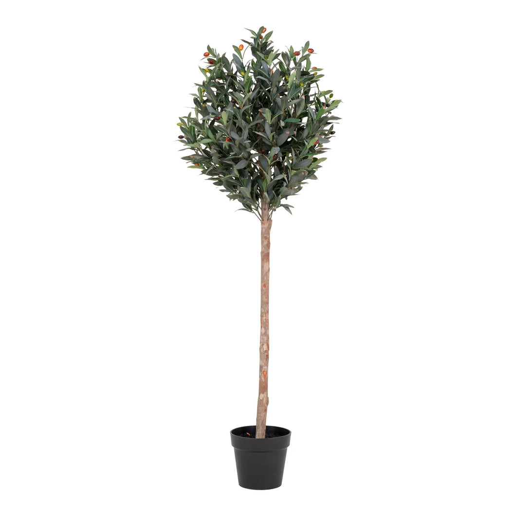 Kunstigt Oliventræ H150